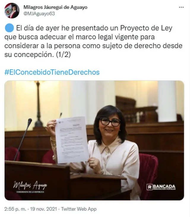 Congresista de Renovación Popular anuncia presentación de proyecto de ley en Twitter. Foto: Twitter / Milagros Jáuregui