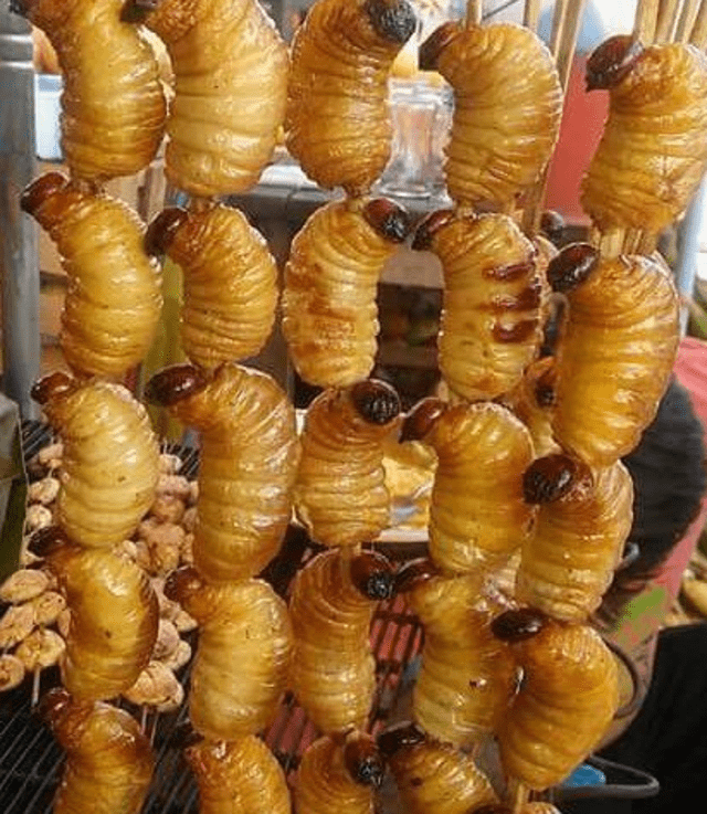 En Colombia se puede degustar al mojojoy frito, relleno o cocido. Foto: Comida de Colombia