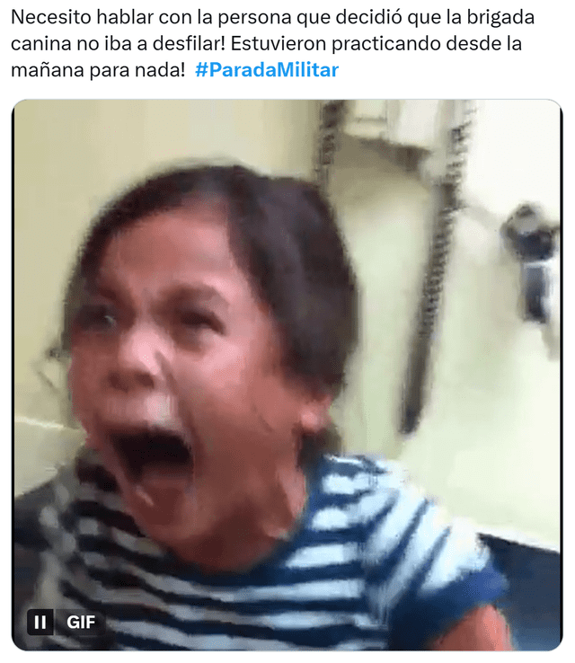 Parada Militar 2025 | Policía Canina | Dina Boluarte Parada Militar 2025 | Policía Canina | Dina Boluarte