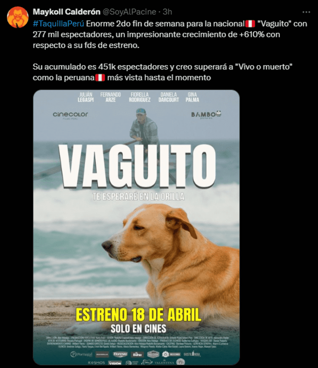 ‘Vaguito’ se basa en la historia real de un perro que espera el regreso de su dueño a orillas del mar en Punta Negra. Foto: captura X/@SoyAlPacine    