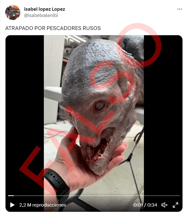  Publicación viral con el bulo. Foto: captura de Twitter    