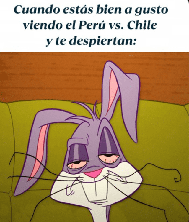  Los peruanos compartieron en redes sociales cómo se sintieron al ver el partido de Perú vs. Chile. Foto: X   
