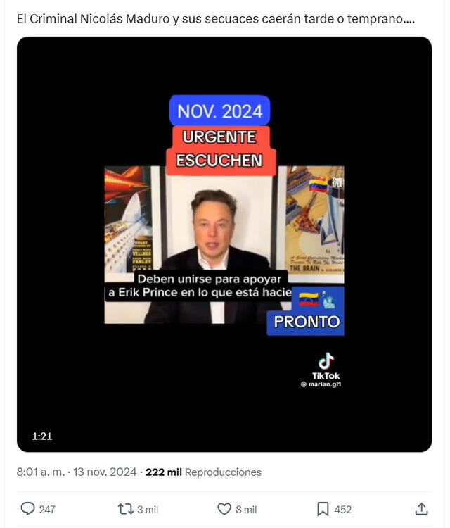 <em> Desinformación sobre Elon Musk. Foto: captura de X</em>   