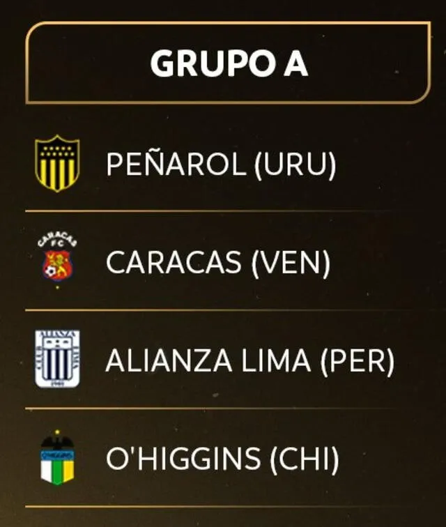 Grupo de Alianza Lima. Foto: Conmebol Libertadores Sub-20   
