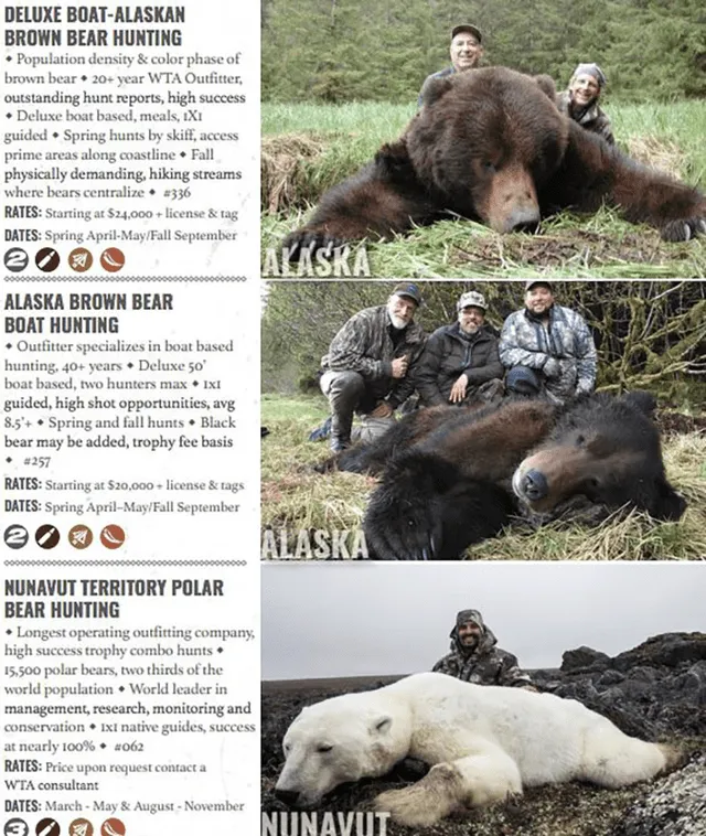 World Wide Trophy Adventures oferta en su página web la cacería de osos polares. Foto: Captura