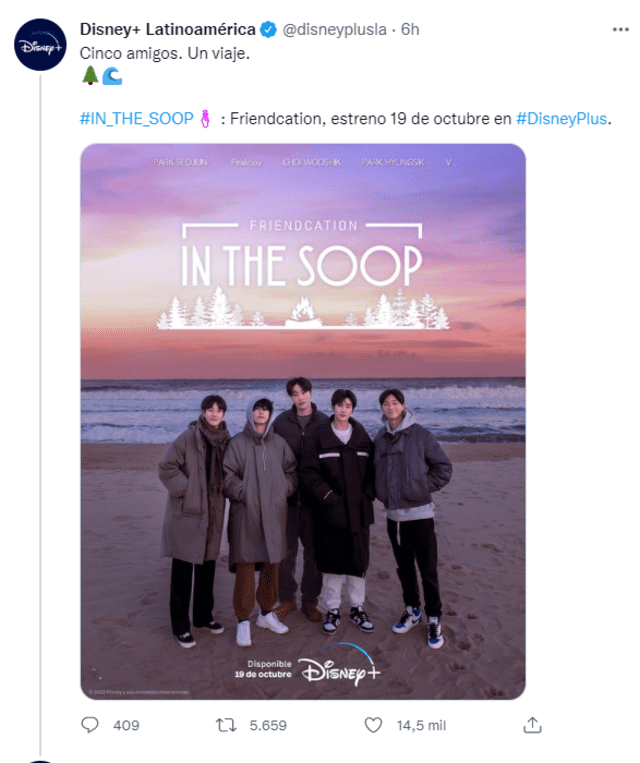 BTS, In the soop: Friendcation, Disney Plus, Taehyung