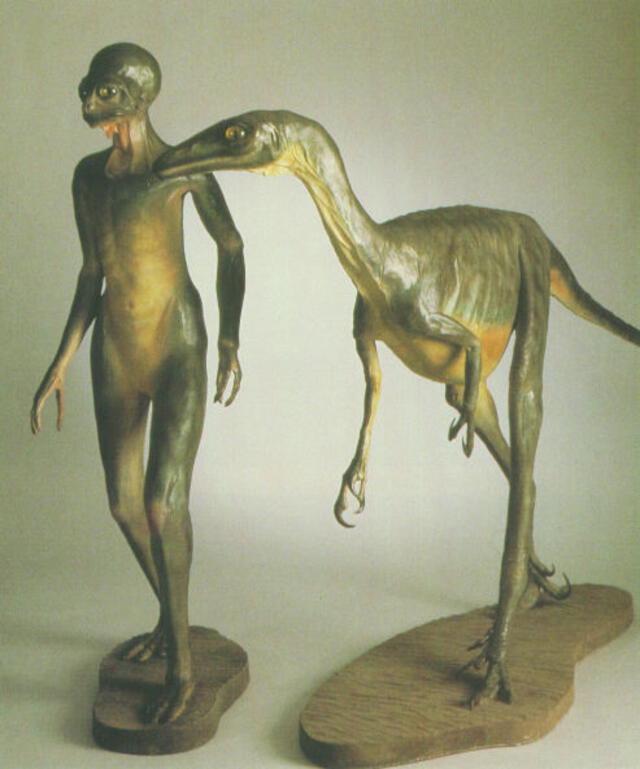Las principales críticas al dinosauroide de Russell era su forma humana, lo cual provenía de la creencia del paleontólogo de que el ser humano estaba en la cima de la evolución. Foto: Canadian Museum of Nature