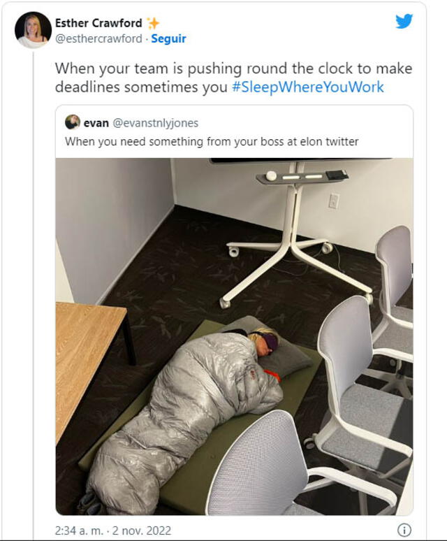 La joven se viralizó tras la publicación de unas fotos suyas durmiendo en las oficinas de la red social. Foto: captura de Twitter/Esther Crawford    