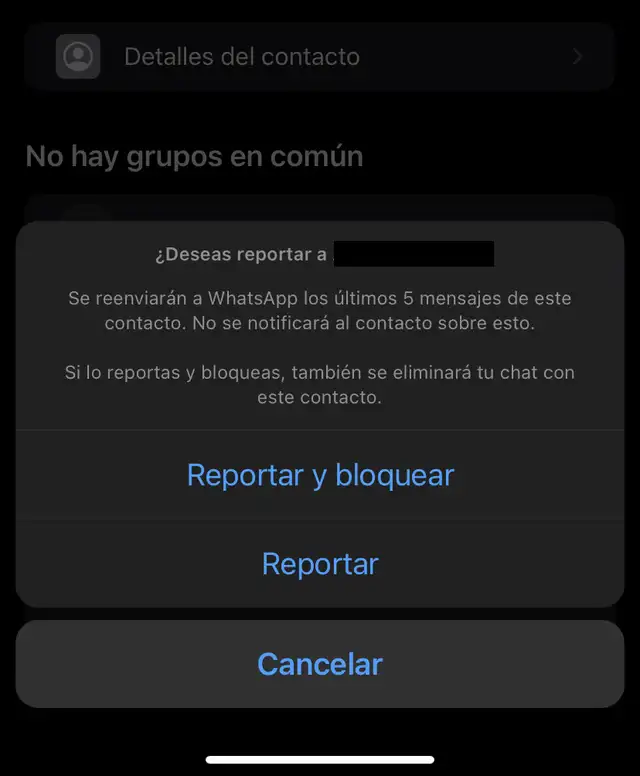Recuerda que no se le notificará al contacto sobre tu decisión. Foto: WhatsApp   