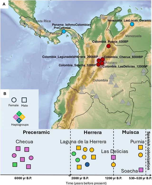 Marco geográfico y temporal de los individuos antiguos y modernos analizados. Foto: Science Direct Marco geográfico y temporal de los individuos antiguos y modernos analizados. Foto: Science Direct
