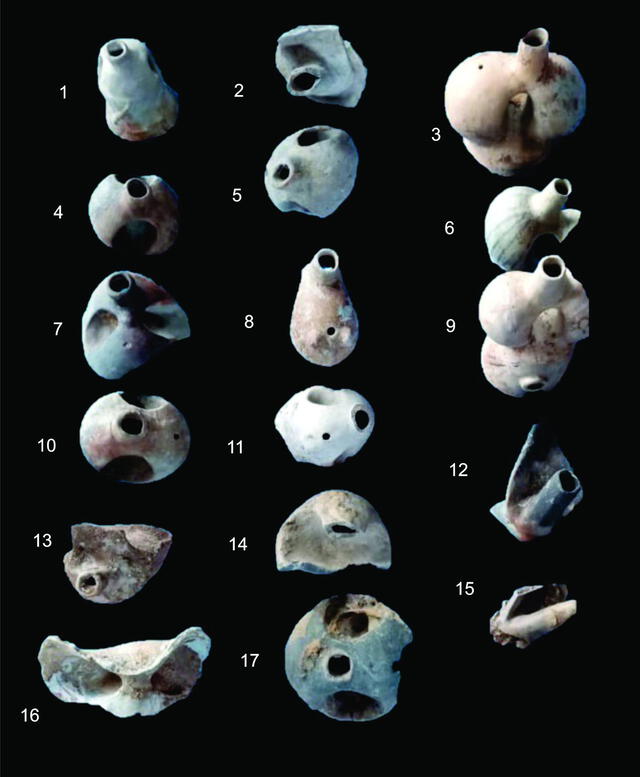 Piezas arqueológicas descubiertas en Condorcanqui. Foto: Revista Científica Pakamuros   