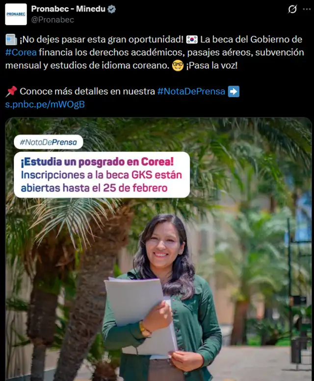 Los estudiantes pueden recibir una beca completa para estudiar en Corea del Sur. Foto: Pronabec