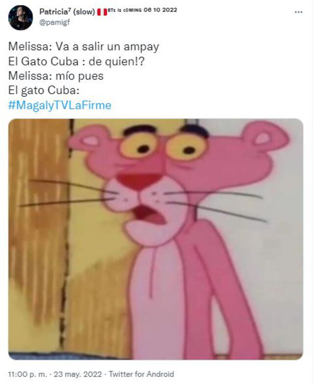 Las redes sociales estallaron tras entrevista de Rodrigo Cuba a Magaly Medina. Foto: captura de Twitter