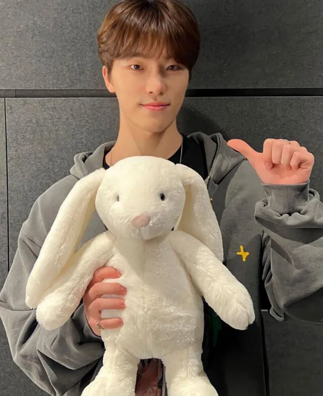 Dino de SEVENTEEN es uno de los idols del año del conejo. Foto: PLEDIS