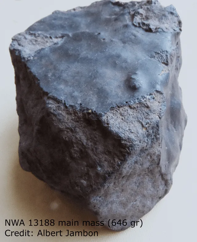 El meteorito Northweast Africa 13188. Foto: Albert Jambon   