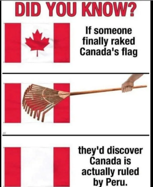 Memes Canadá vs. Bélgica.