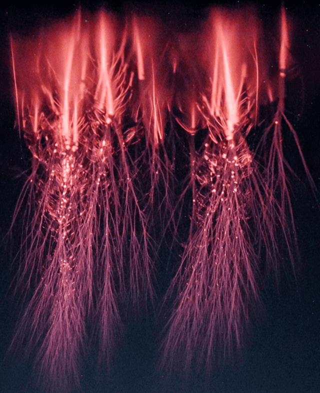  Tipo de iluminación conocida como 'duendes rojos', fenómeno rara vez fotografiado con tanto detalle. Foto: Stephane Vetter (TWAN)   