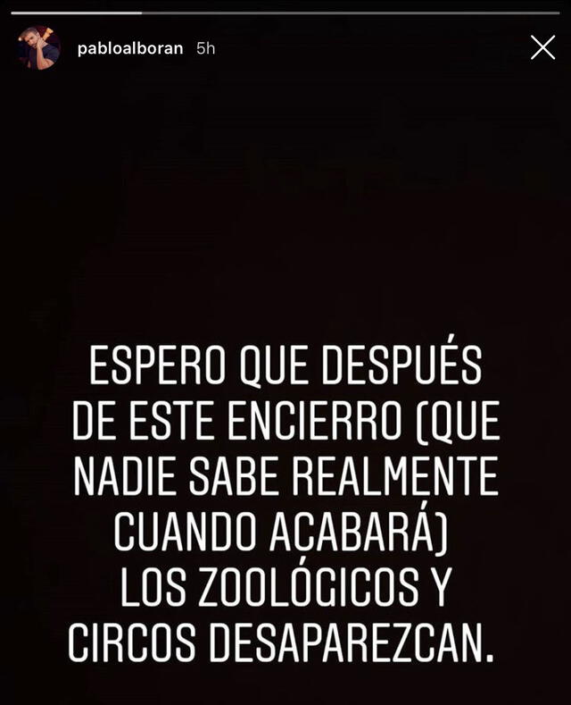 Las palabras de Pablo Alborán en sus historias de Instagram.