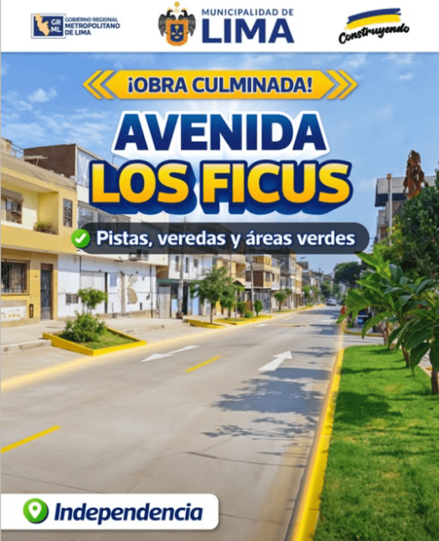 Así se encuentra la avenida Ficus, Independencia. Foto: Captura de pantalla de MML Así se encuentra la avenida Ficus, Independencia. Foto: Captura de pantalla de MML
