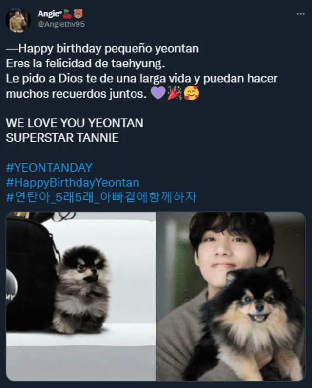 BTS, Yeontan, Tannie, Taehyung