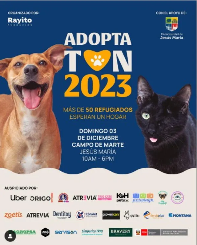  La Adoptatón 2023 se realizará el 3 de diciembre. Foto: Instagram/ fundaciónrayito<br>   