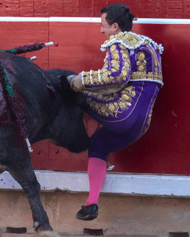 Torero sufrió cornada durante feria San Fermín 2019. Foto: Efe
