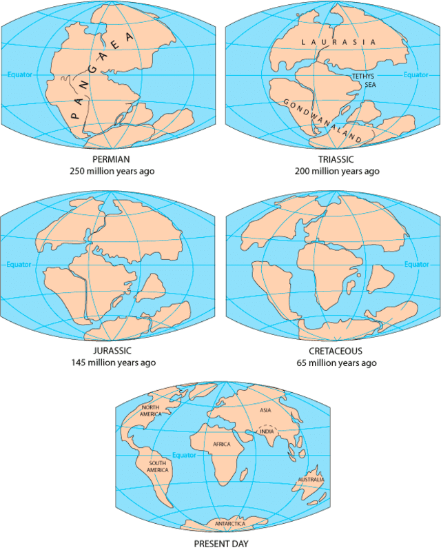  La desintegración de Pangea, un evento estimado entre 300 y 250 millones de años de atrás, dio origen a los seis continentes actuales. Foto: USGS 