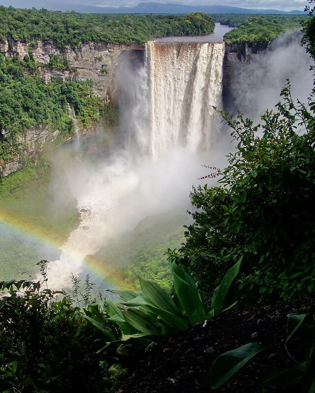 Las cataratas Kaieteur recibe muchas visitas por su majestuosidad. Foto: Sorenriise&nbsp;    