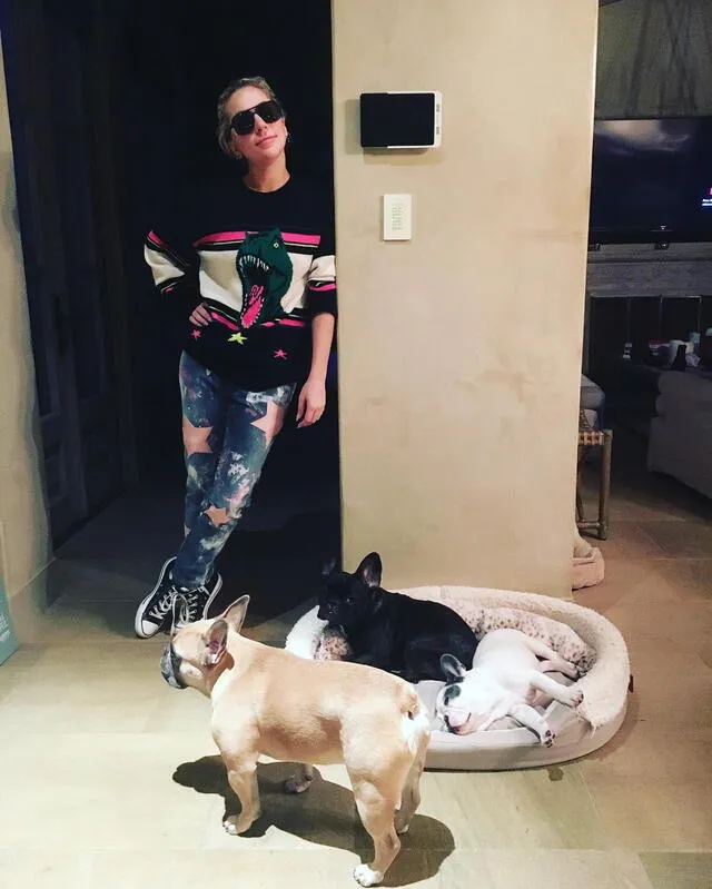 La cantante posa con sus tres mascotas. Foto: Lady Gaga/Instagram
