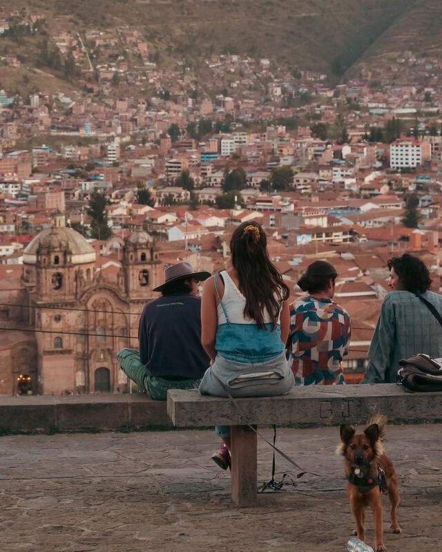  Nacho, el hijo perruno de Mónica y José, en el mirador de la plaza de Cusco. Foto: Otras formas de vida/Instagram   