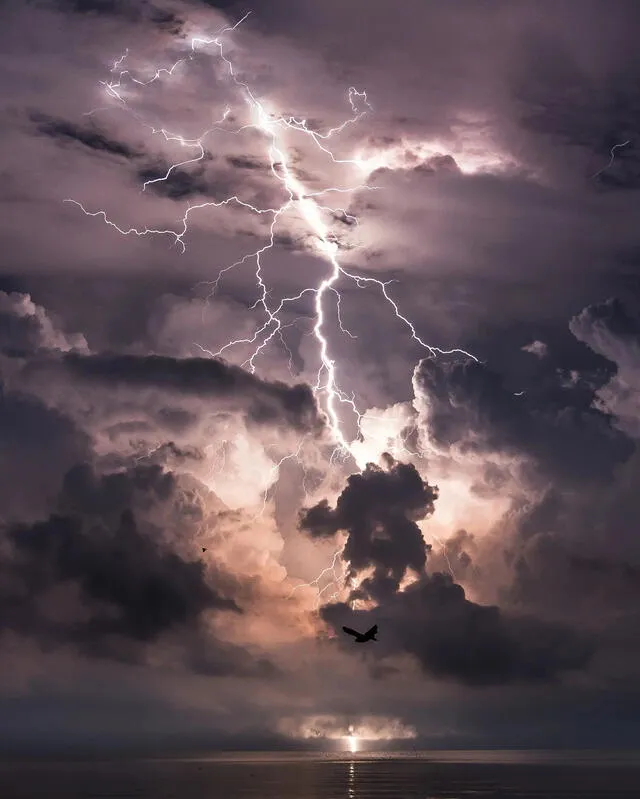 El fotógrafo identificó un murciélago grande que vuela justo en el momento en que un relámpago cae en el Catatumbo Lightning Camp. Foto: Jonas Piontek    