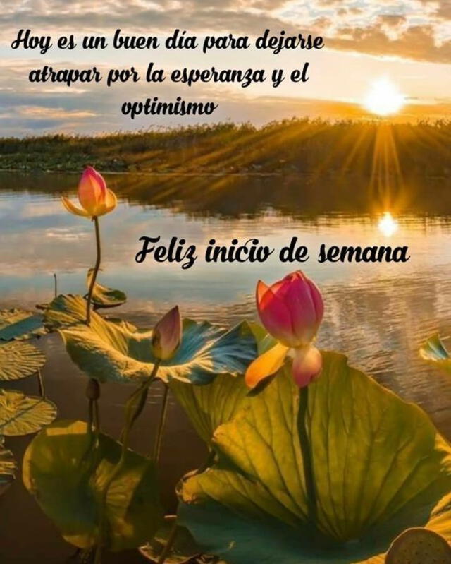   Dedica una bonita imagen de feliz inicio de semana a tus seres queridos. Foto: Pinterest    