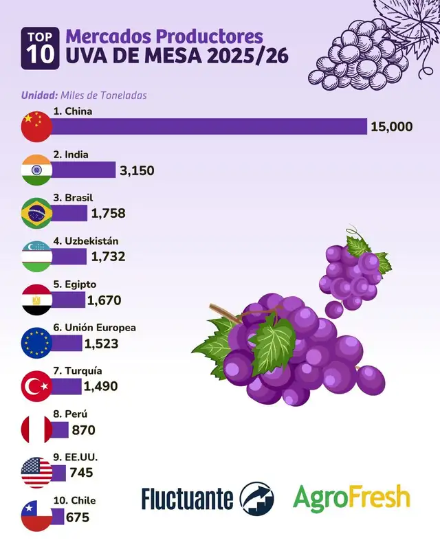  Top 10 de países productores de uva de mesa en el mundo en 2026. Foto: AgroFresh<br>    