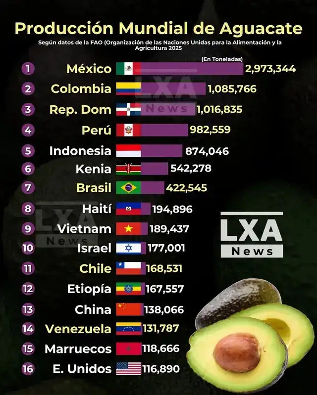 El ranking mundial de los principales países productores de palta. Foto: LXA News El ranking mundial de los principales países productores de palta. Foto: LXA News