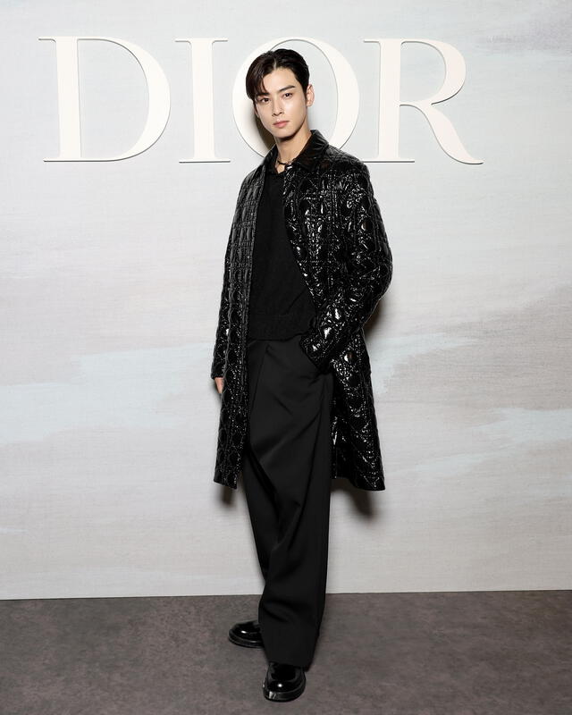 Cha Eunwoo, cantante de ASTRO y actor, Dior embajador