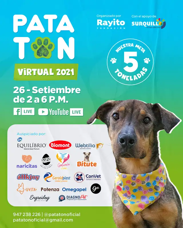 Rifa beneficiará a 10 albergues de perros y gatos. Foto: Facebook Patatón