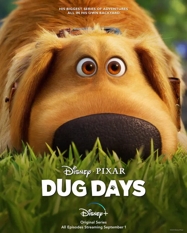 Dug days póster oficial. Disney Plus