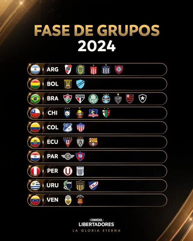 Brasil, Argentina, Chile, Uruguay y Ecuador son los únicos países que tienen más de dos representantes en la fase de grupos. Foto: Conmebol Libertadores   