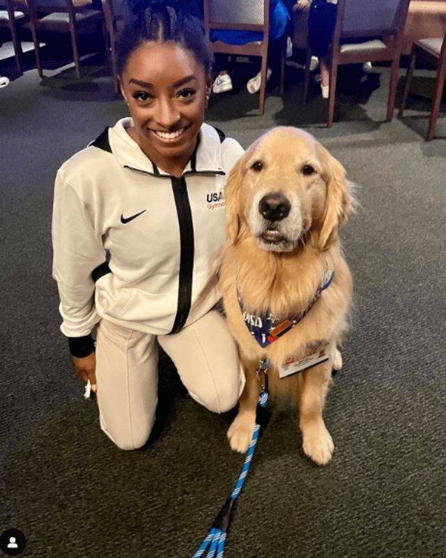 Simone Biles y el equipo de Gimnasia Artística tienen como terapista a Beacon. Foto: golden dog beacon.   