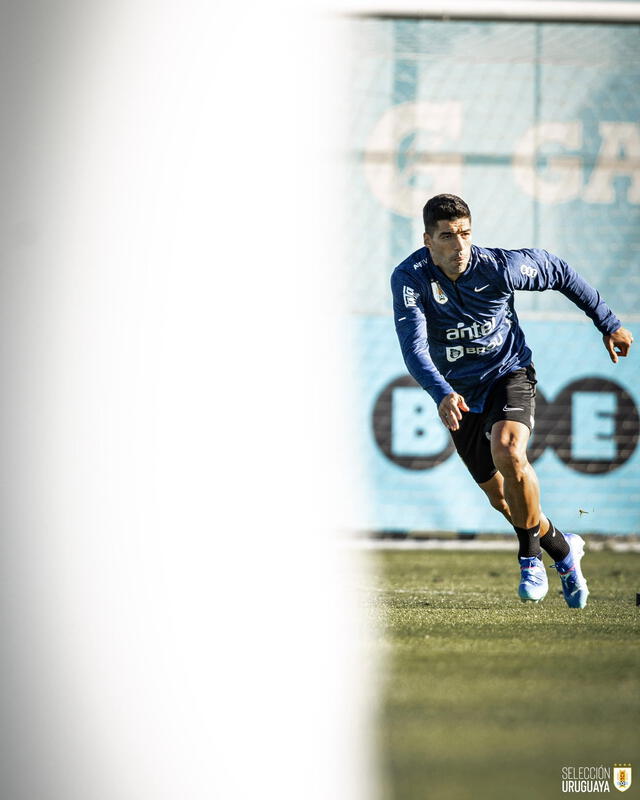  Luis Suárez se despedirá de su selección este viernes 6 de septiembre. Foto: selección de Uruguay 