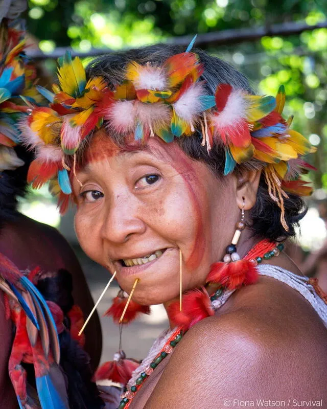 Sudamerica es una de las zona con mayor diversidad del planeta. Foto: Survival International   