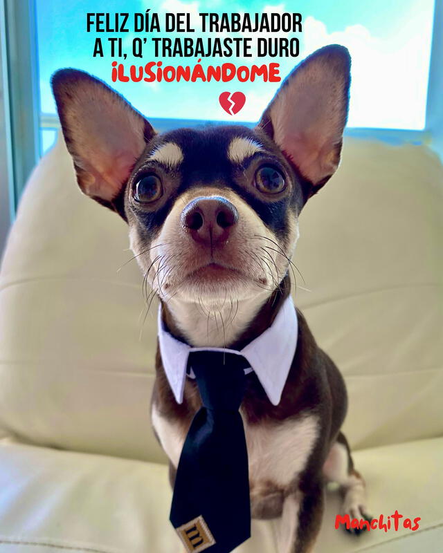 Día del Trabajador 