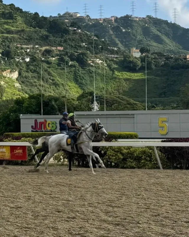 El 5y6 del Hipódromo La Rinconada de este domingo se cambió de fecha. Foto: INH   