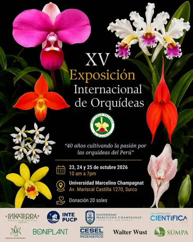 Exposición Orquídeas Exposición Orquídeas