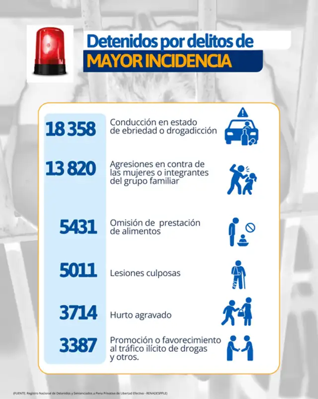 Violencia familiar y conductores ebrios lideran detenciones.  