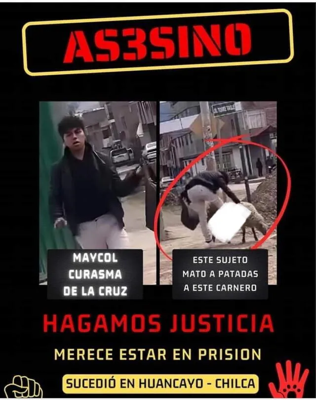 Colectivos en Huancayo exigen la pena máxima para el agresor del animal. Foto: Difusión    