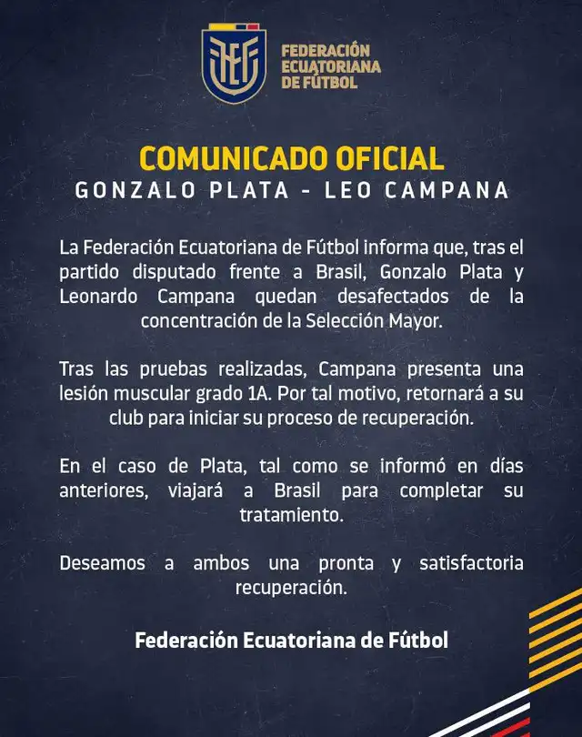 Comunicado oficial de la federación ecuatoriana. Foto: FEF   