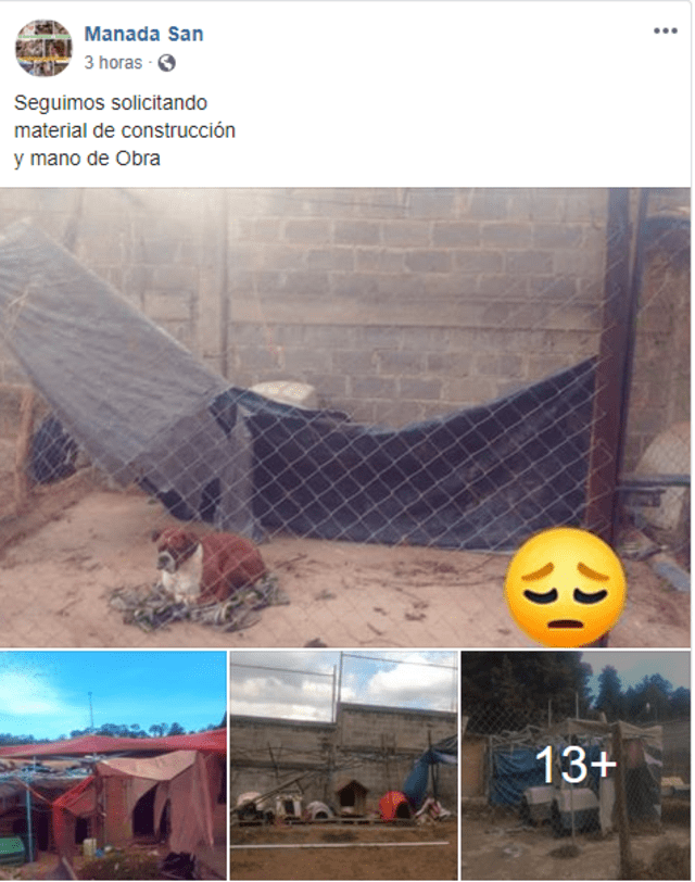 ‘Manada San’ pide ayuda para reconstruir su albergue de animales. (FOTO: Captura)
