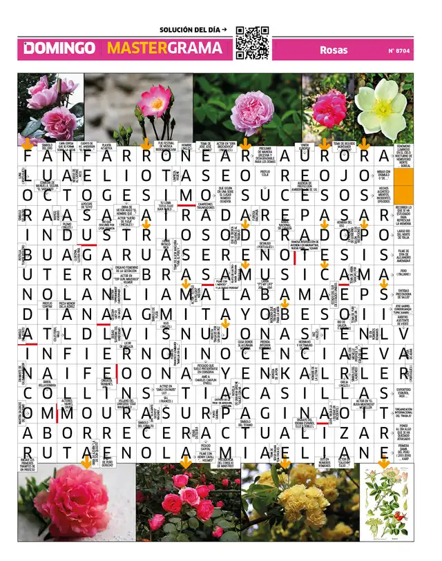 Mastergrama N° 8704