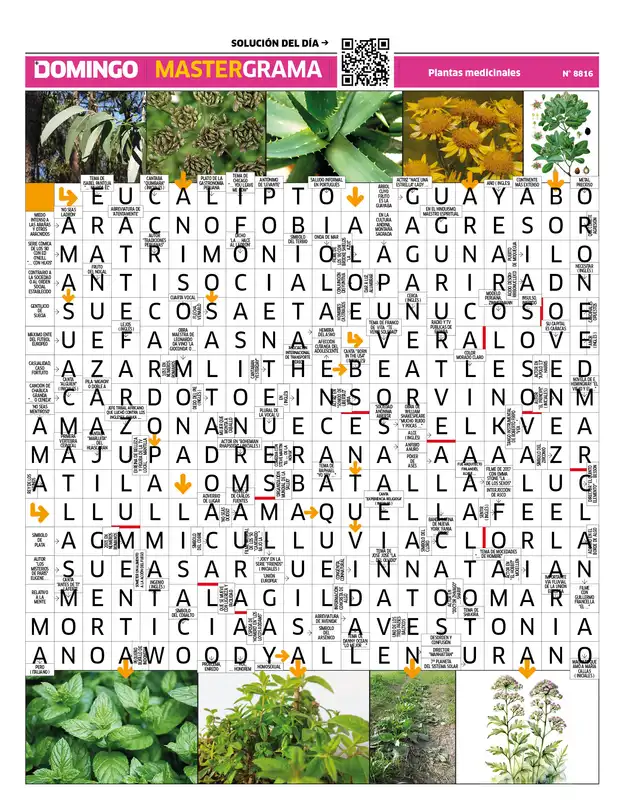Mastergrama N°8816 Mastergrama N°8816